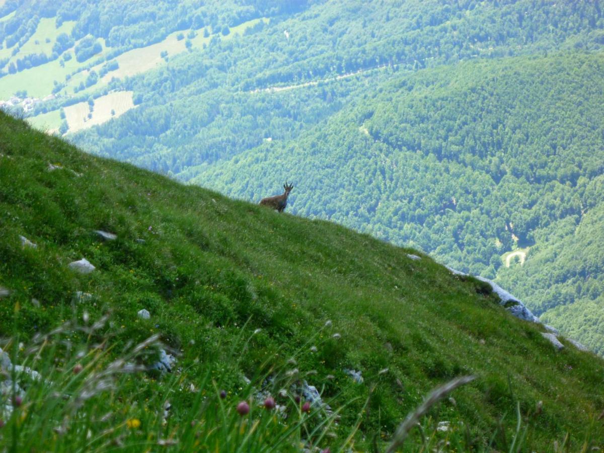 La Moraine Apartment Villard-de-Lans Luaran gambar